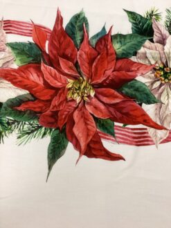 Cotone con abbassamento stelle di Natale