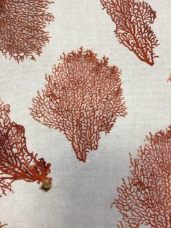 Alternative view of Cotone corallo rosso